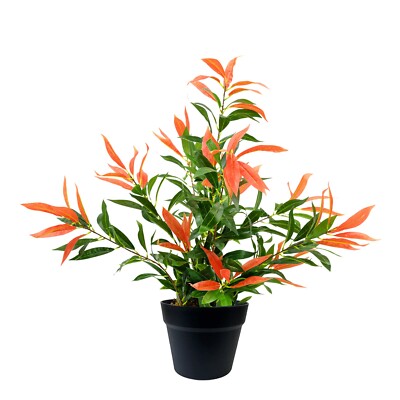 Künstlicher Ficus Baum Pflanze Photinia Red Robin grün 80cm realistische Kunstpflanzen