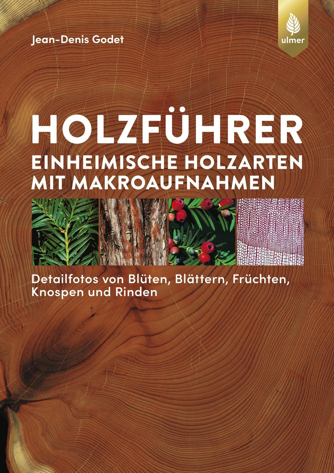 Thumbnail - Holzführer Jean-denis Godet