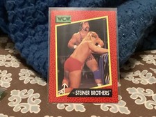 1991 Impel WCW Wrestling Trading Card #104 – Steiner Brothers