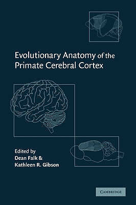 Evolutionary Anatomy of the Primate Cerebral Cortex Falk Gibson Hardback