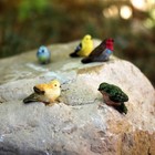 Miniature Bird Figurines, 1" Tiny Fairy Garden Birds, Dollhouse Nest (3,6,12 Pk)