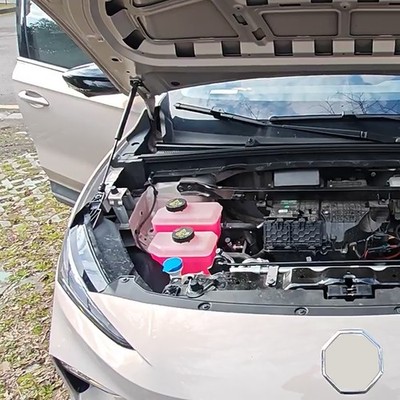 2x Haubenlift Haubendämpfer Nachrüstset ohne Bohren Für MG S5 EV ab 2025