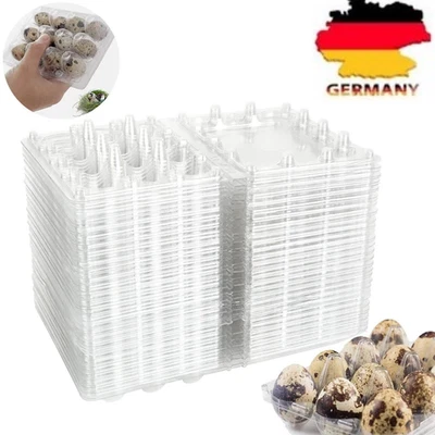 120/240 Wachteleierverpackung PET12er Bruteier Wachtel Verpackung Eierkartons - Bild 1 von 4