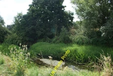 Photo 6x4 View of the River Roding from Roding Valley Nature Reserve #3 C c2016