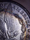 1889 Morgan Silver Dollar, Toning, Die Clash