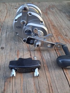Daiwa Saltist 35 | eBay