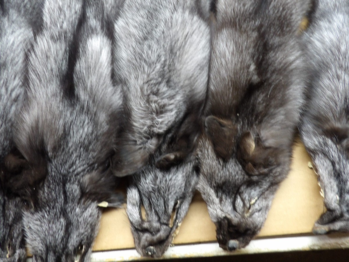 blue fox(silver tipping) muffler／銀ラメ／日本製 blue fox(silver