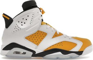jordan 6 gatorade gs