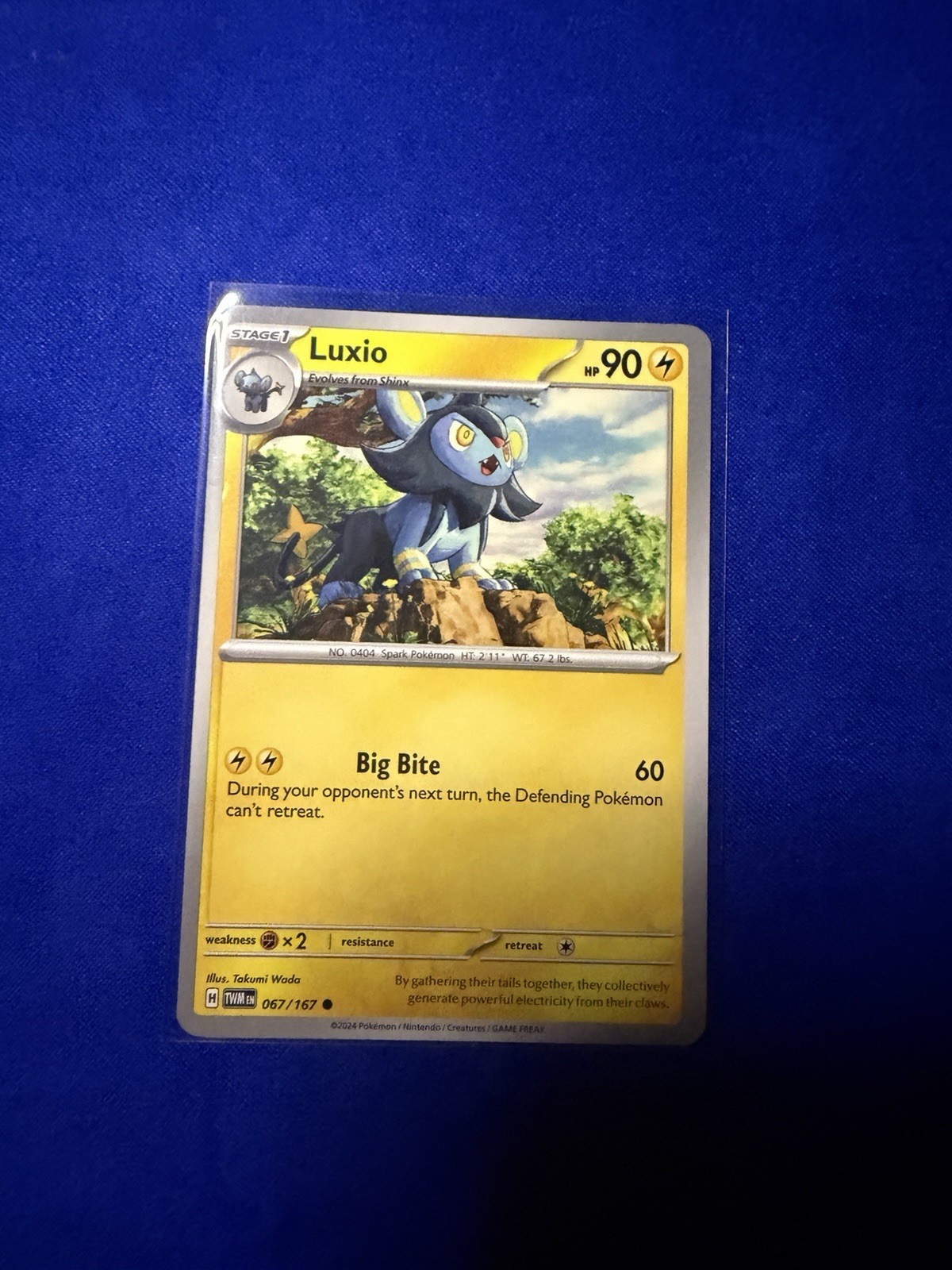 luxio pokemon card
