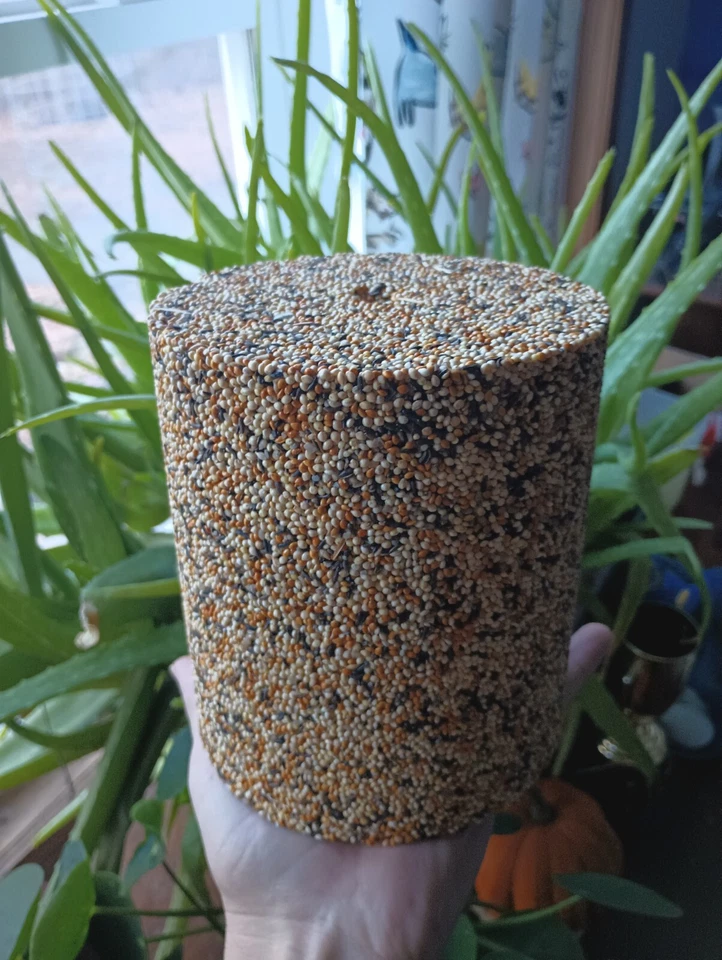 ¡Kit de molde de tronco de semillas grande! ¡Haz tus propios troncos de semillas increíbles para alimentar a los pájaros! Foto 4 de 4