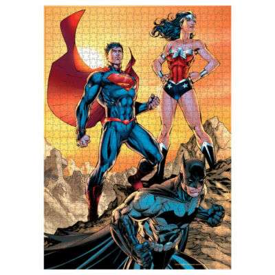 SDToys Puzzle 1000 Teile DC Comics Justice League                        (24108)