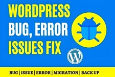 WordPress Service - fix any WP issues, errors & theme customization
