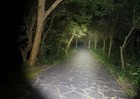Foto 8 di 13