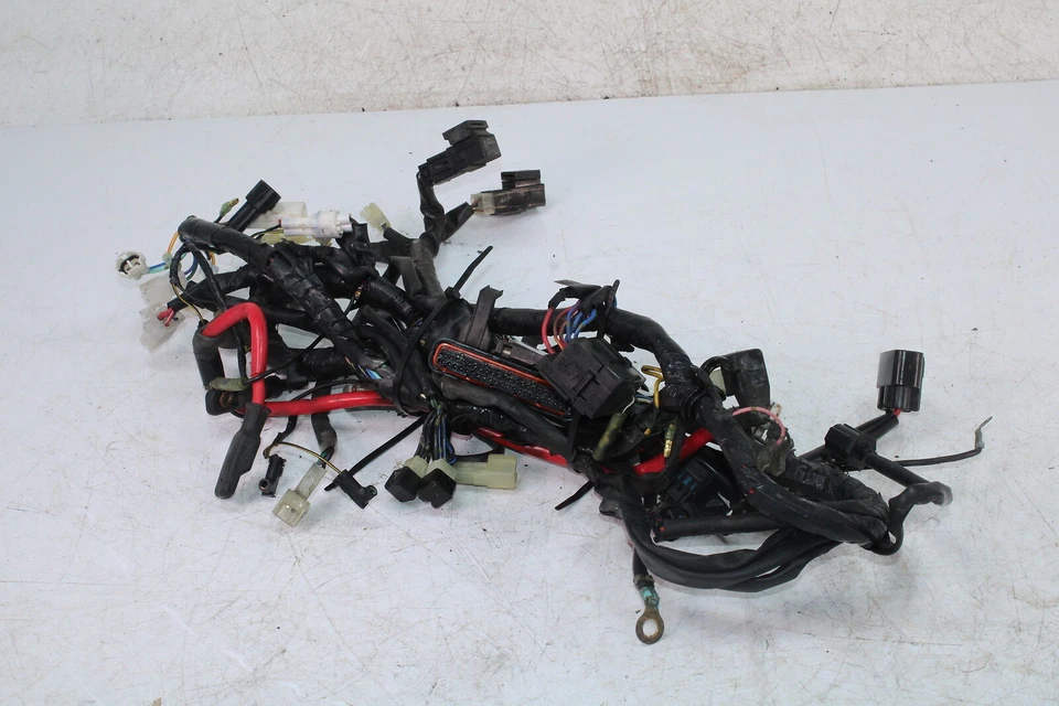 Yamaha Rx Warrior Rxw10 2004 arnés de cableado principal telar de cables 8fg-82590-00-00 Foto 2 de 4