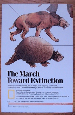 National Geographic June 1989 Map March Toward Extinction New View of Dinosaurs