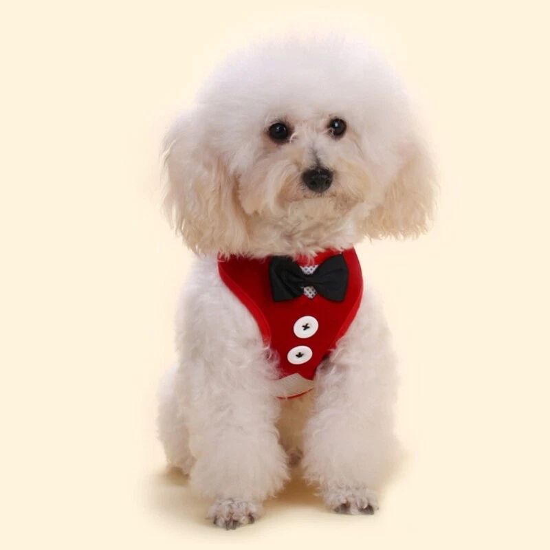 Dog Harness with Leash Set No Choke Puppy Breathable Vest for Small Dog