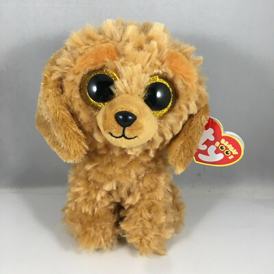 beanie doodle dog