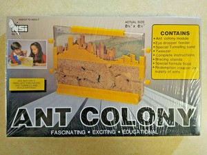 vintage ant farm