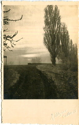 AK Calbe Saale ca. 1930 (?) Feldweg im Abendlicht Fotografenkarte / Bernburg 