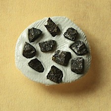 10 Splitter Meteorit Nwa 11161 - Ureilit aus Nordwestafrika - zusammen 0,18g