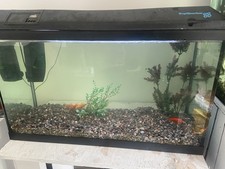 Complete Fish Tank With Lid, Cold Water Aquarium