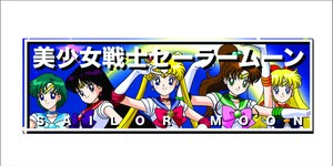 Sailor Moon Slap JDM Window Car Bumper Vinyl Funny Sticker Anime Stanced Drift | eBay