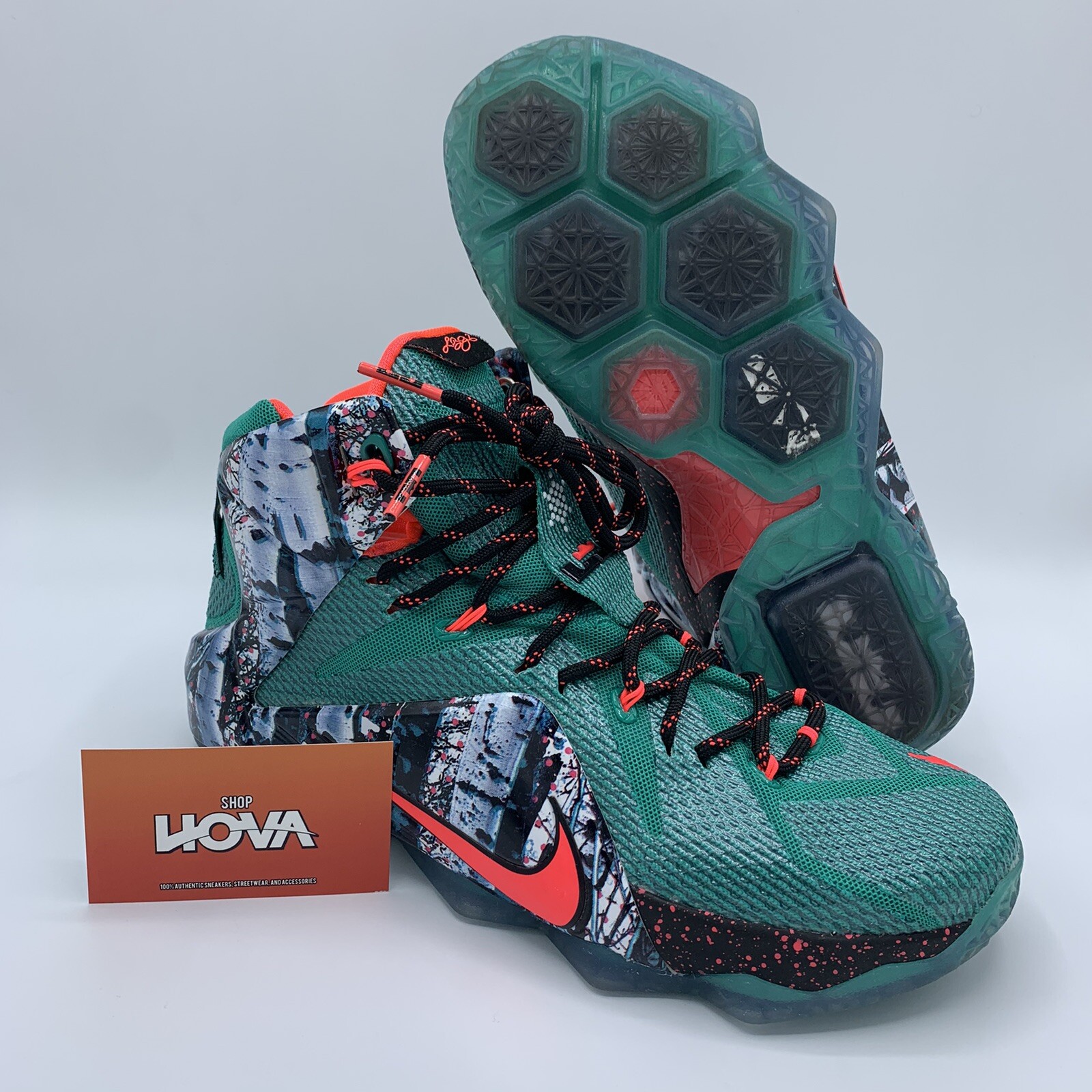 lebron 12 akron birch