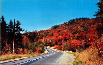 Jack Frosts Autumn Scene Country Rd Dr Postcard UNP VTG Dexter Unused Vintage
