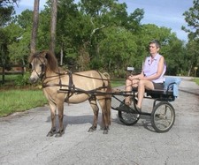New Black Leather MINI Small Pony Horse Driving Harness with PINK Heart Cutouts