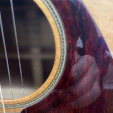 Guitare acoustique Yamaha FG-700 top model dos, Jacaranda.