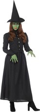 Karnival Costumes Storytime Evil Wicked Witch Women's Costume - Adult Size XS