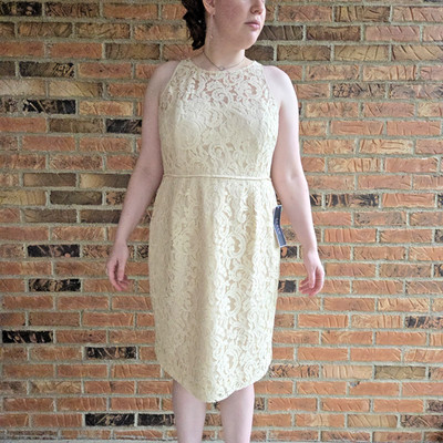 J Crew Pamela Dress Size 16 Beige NWT Leavers Lace A1743 Bridesmaid Summer Party