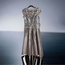 Adrianna Papell Formal Gown Dress NWT 10P Petite Pink Gray Silver Sequin Women  s