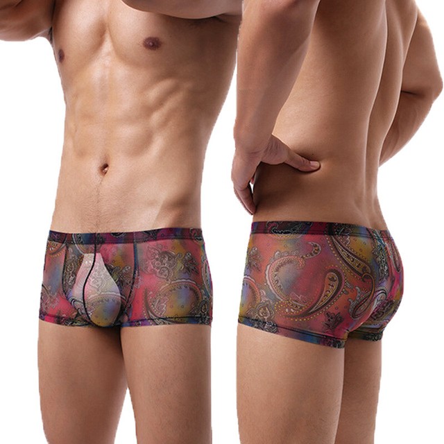 Print sheer boxer brief men's underwear with pouch 5 colors available