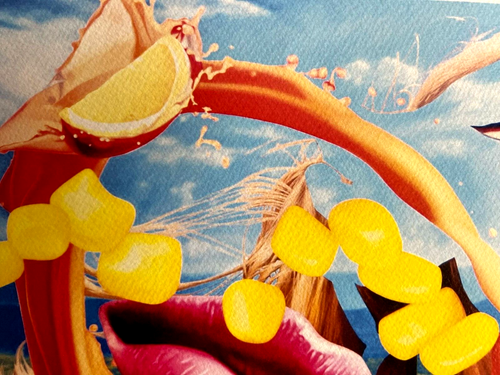 Jeff Koons Lithographie Mori Museum COA Original Nummeriert Limitiert Auf 200 - Bild 7 von 13