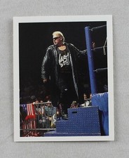 Brian Knobbs The Nasty Boys WWF Merlin Sticker Card Wrestling Wrestler WWE 1992