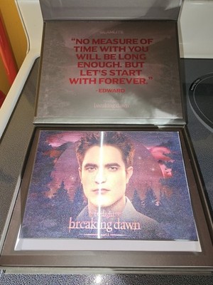 GLAMLITE X TWILIGHT TEAM EDWARD PALETTE