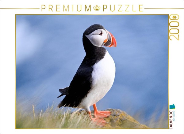 Calvendo Puzzle King Of The Puffins | 2000 Pieces, Finished Size 35.4 × 26.4 In-image