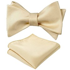 Mens 2pcs Self-tied Solid Color/Animal Pattern Bow Tie and Solid Champagne