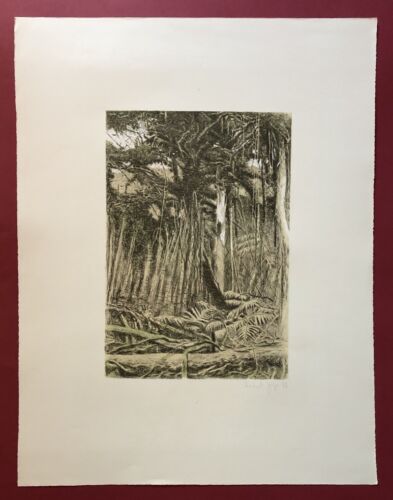 Herbert Jäger, foresta, litografia a colori, 1978, firmato a mano e datato - Foto 1 di 1