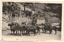 CPA LUCHON (Vallée d'Queil) Retours du Chevries (172022)