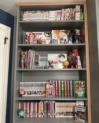 Manga collection