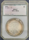 1991 PCI American Silver Eagle $1 - Rim Toned