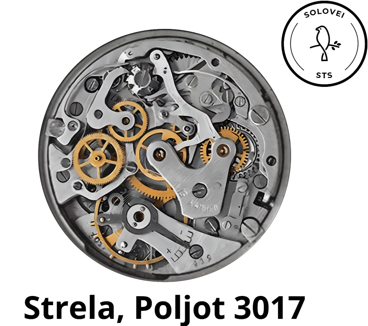 Nos [1 PC] Poljot 2609 2614 B Vintage Montre Parts Montre New