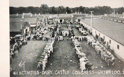 1940's Postcard - 4-H Events - Dairy Cattle Congress - Waterloo, Iowa. #-9143