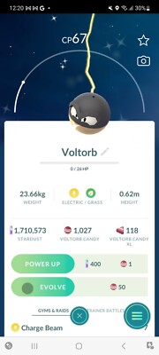 Pokemon Go Shiny Voltorb 