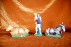 Bild 11 von 12