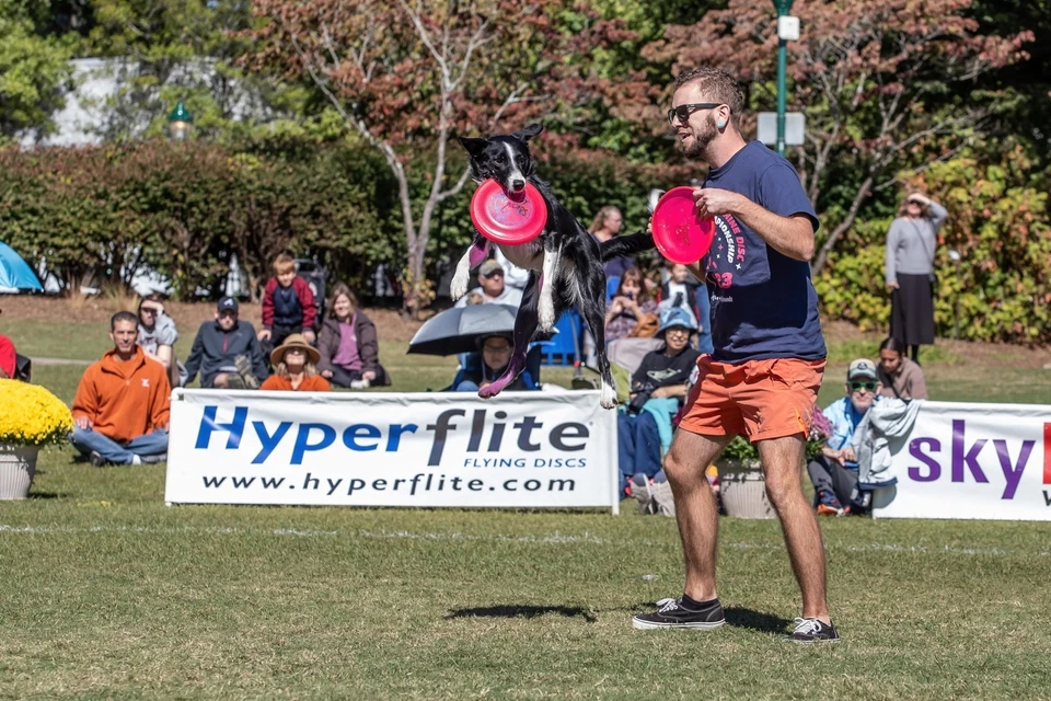 Hyperflite K 10 Jawz Ultimate Dog Flying Disc 875 Inch Puncture Resistant - Image 4 of 4