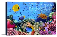St Thomas Us Virgin Islands Coral - Lp Photography (18x12 Stretch Canvas) St Thomas Us Virgin Islands Coral - Lp Photography (18x12 Stretch Canvas)