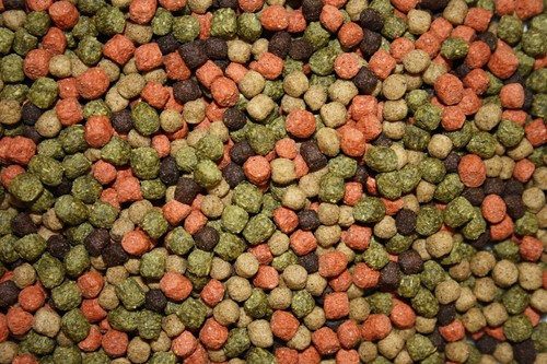 Koifuttermischung KoiMix Premium Teichfuttermix Spirulina Astax Paprika 10kg - Bild 5 von 15